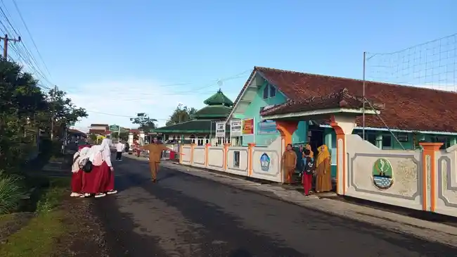 Tribun