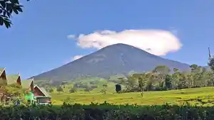 Jalur-pendakian-di-Gunung-Dempo-terbakar-akibat-ulah-pendaki-yang-sembarangan.jpg