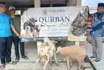 Kagama Aceh Salurkan Kurban ke Delapan Daerah Terdampak Banjir