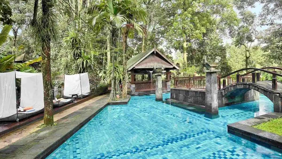 3 Rekomendasi Hotel di Bogor yang Punya Mini Zoo, Cocok Untuk Liburan Dengan Anak