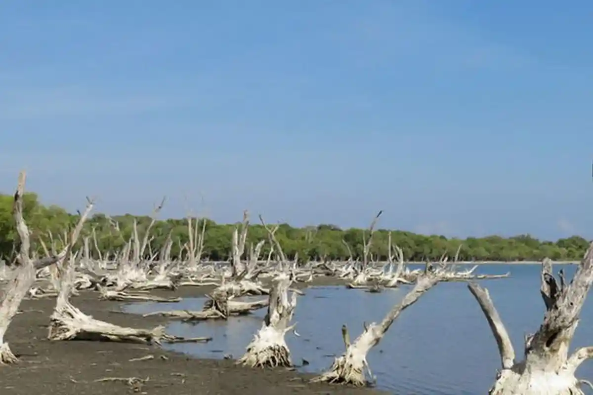 Danau Angker di Timor Leste, Konon di Dalamnya Tersimpan Bukti Kejahatan Besar Indonesia