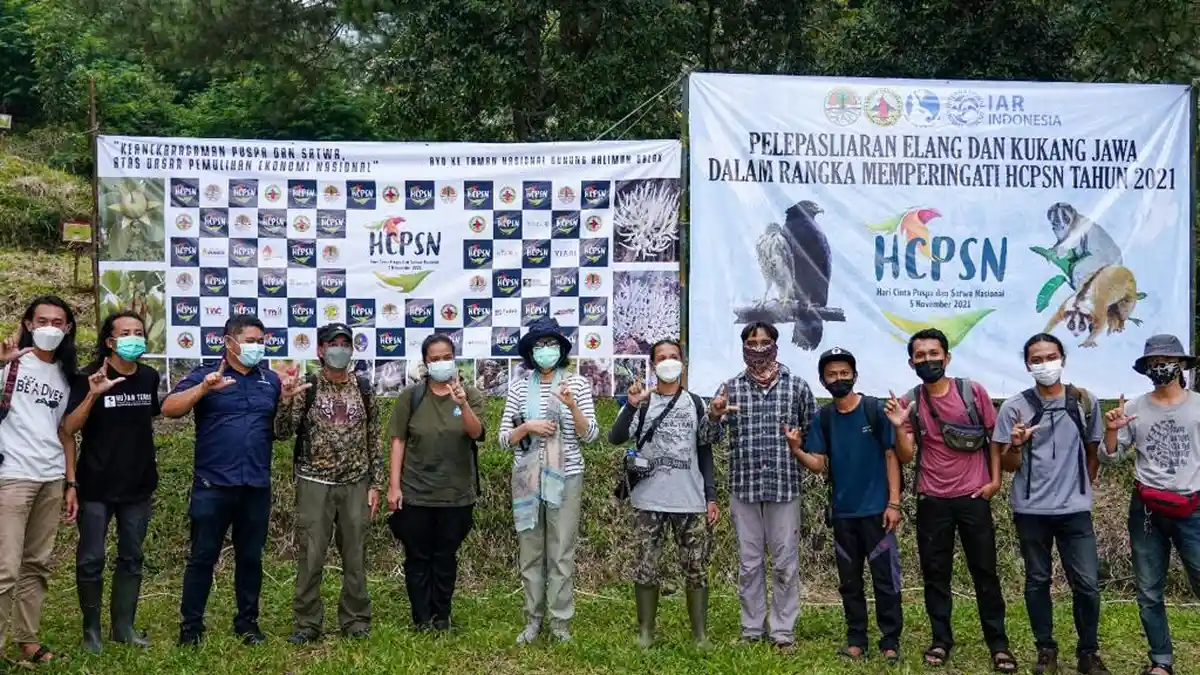Peringati HCPSN 2021, KLHK Lepasliarkan Elang dan Kukang Jawa di TNGHS
