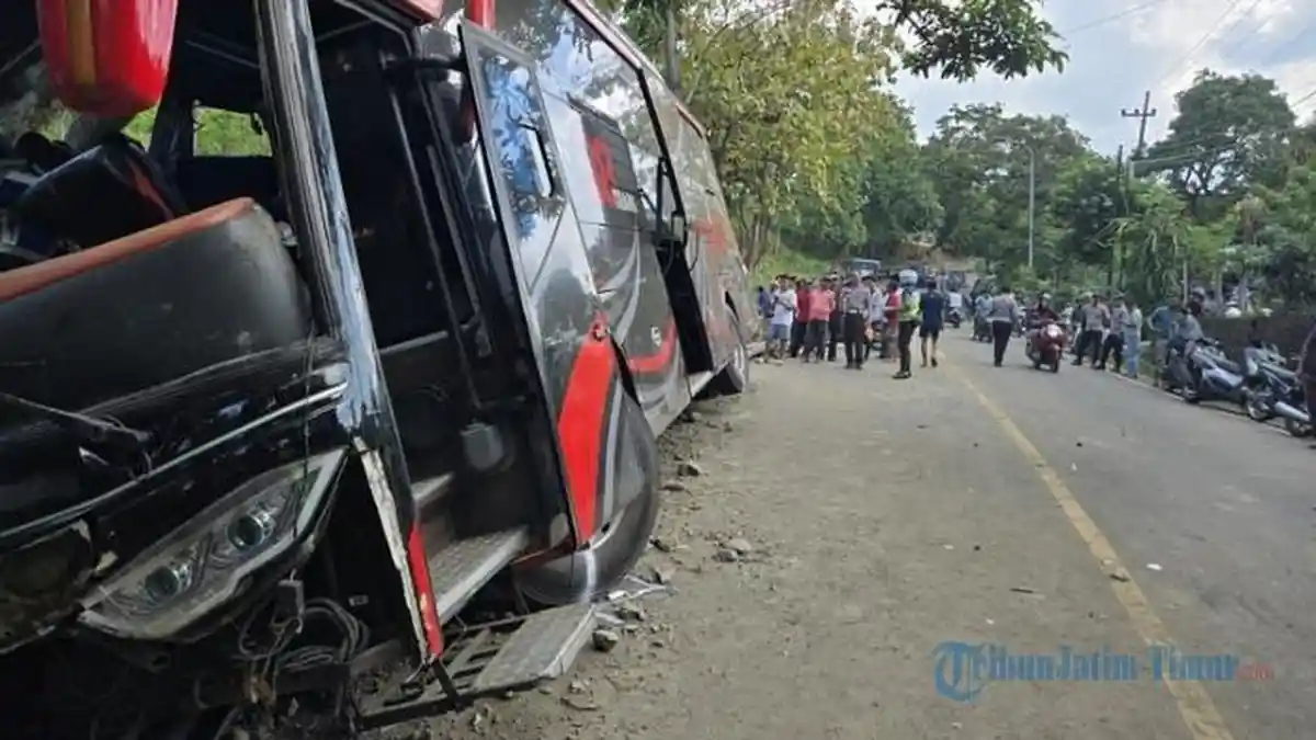 Update Terbaru Kecelakaan Bus di Probolinggo : 8 Meninggal Dunia dan 44 Luka-luka