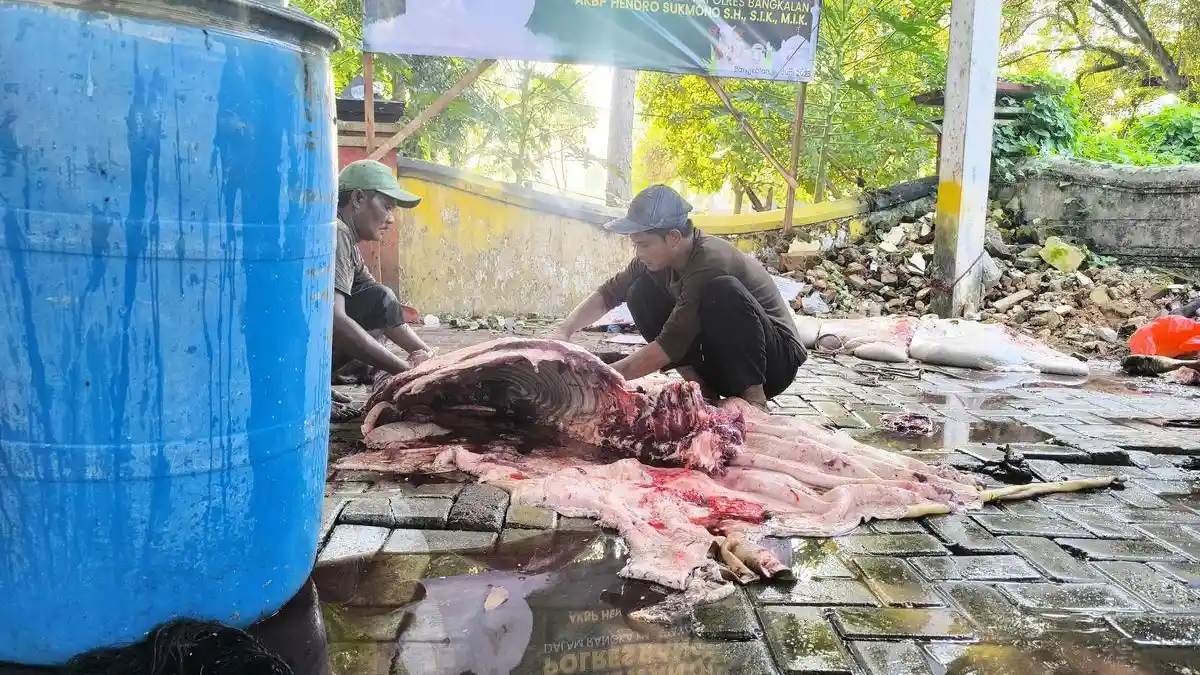 Kisah Jaja Kebanjiran Rezeki saat Iduladha, Sehari Raup Rp 14 Juta