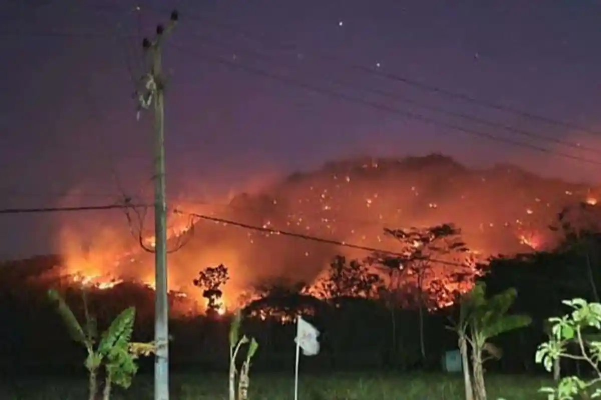 Bukan Hanya Empat, Titik Kebakaran Hutan di Ponorogo Bertambah, Ini Upaya BPBD agar Api Tak Meluas