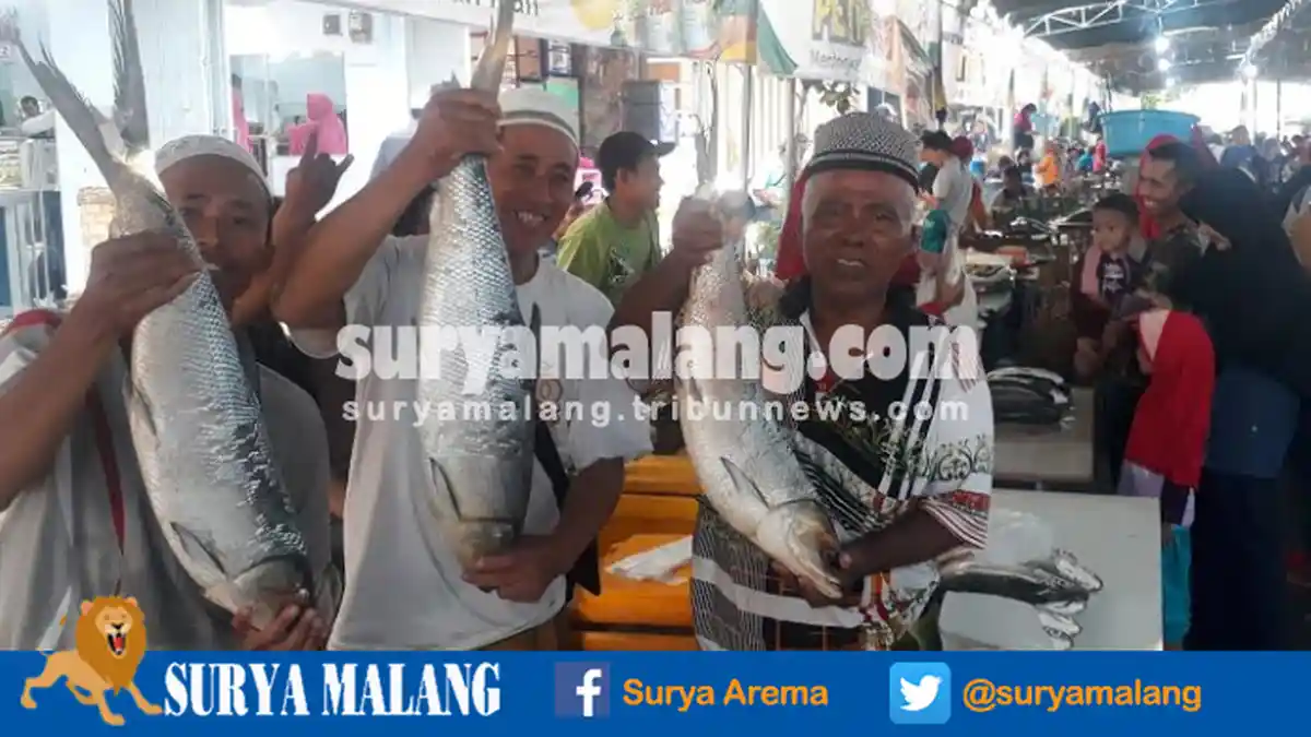 Ikan Bandeng Sebesar Bayi jadi Tontonan, Dipajang untuk Meramaikan Tradisi Pasar Bandeng di Gresik