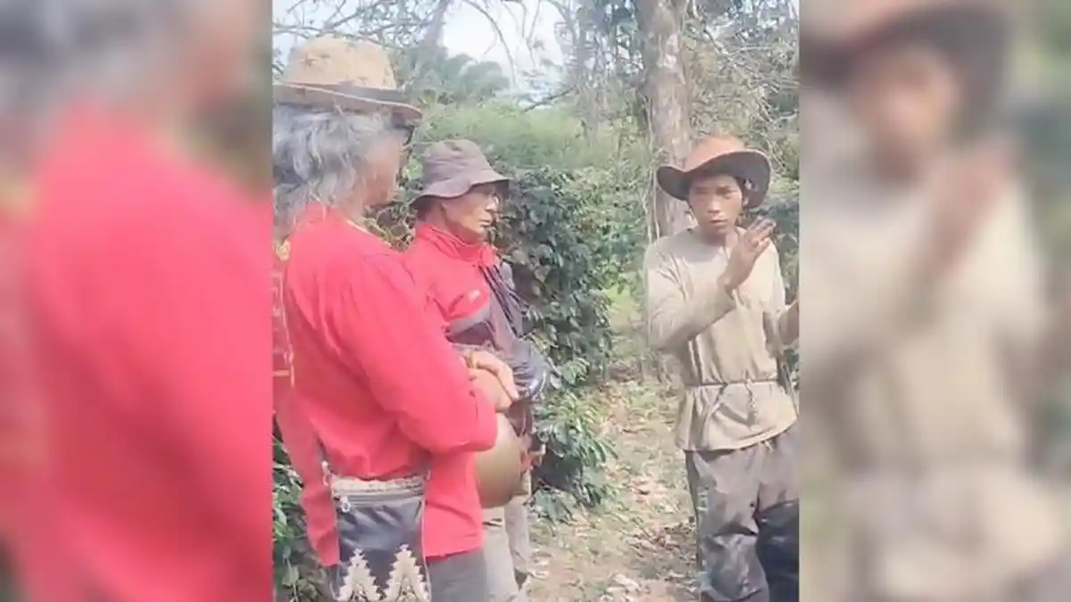 Belajar Kopi dari Bung Roma, Baca Puisi Ditengah Panen Buntul Sara Ine