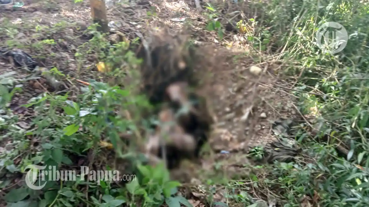 BREAKING NEWS: Sesosok Mayat Pria Tanpa Identitas Ditemukan di Kilo 5 Timika