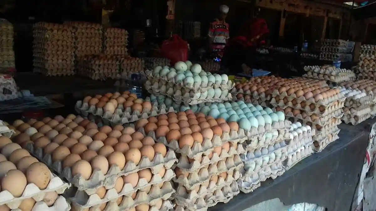 Harga Telur di Pasar Terong Juga Turun Setelah Lebaran