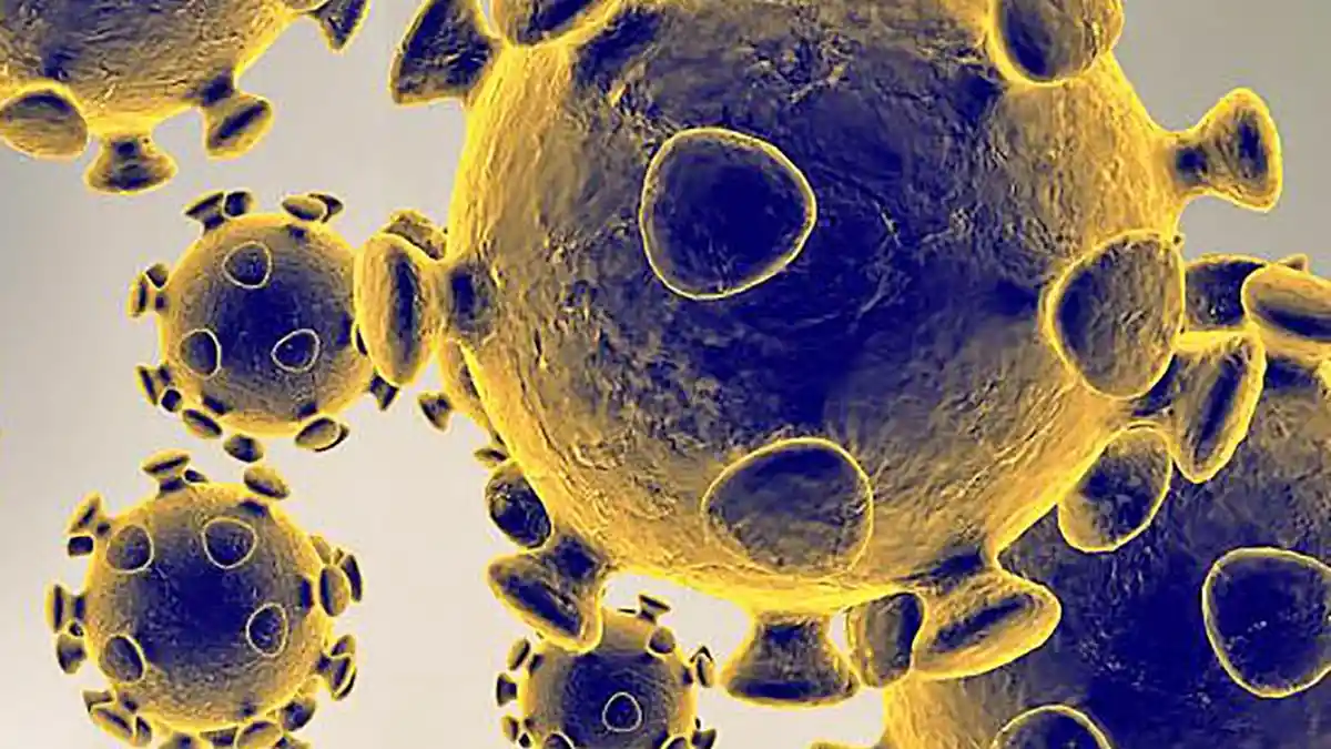 Waspada! Virus Corona Varian B.1.1.529 Lebih Mudah Menginfeksi dan Menurunkan Fungsi Vaksin