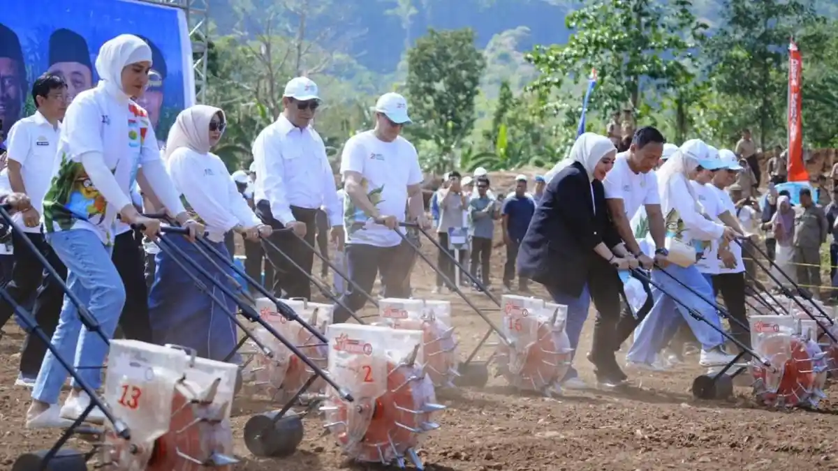 Tamsil Linrung Apresiasi Capaian Mentan Angkat Derajat Pertanian Indonesia