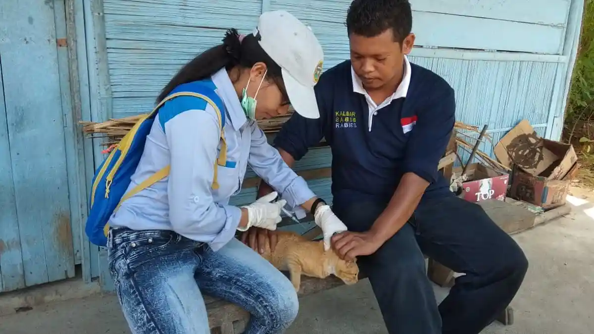 Cegah Rabies, Pemkab Landak Beri Vaksin Gratis untuk Hewan Peliharaan