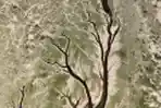 Pemandangan Unik Saat Sungai dan Danau di China Mengering