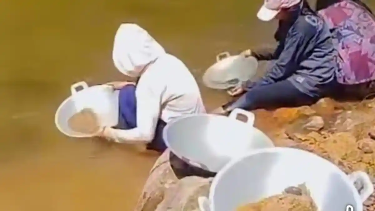 Warga Buntu Pepasan Bakal Kaya Raya, Bupati Toraja Utara Izinkan Dulang Emas di Sungai Mai’ting