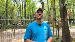 Keeper-jerapah-di-Taman-Margasatwa-Ragunan.jpg