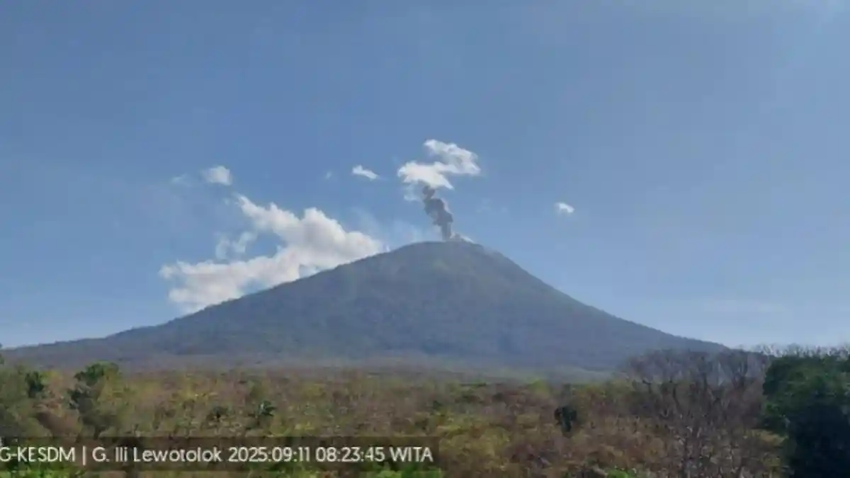 Gunung Api Ili Lewotolok NTT Meletus Pagi Ini, Tinggi Kolom 600 Meter