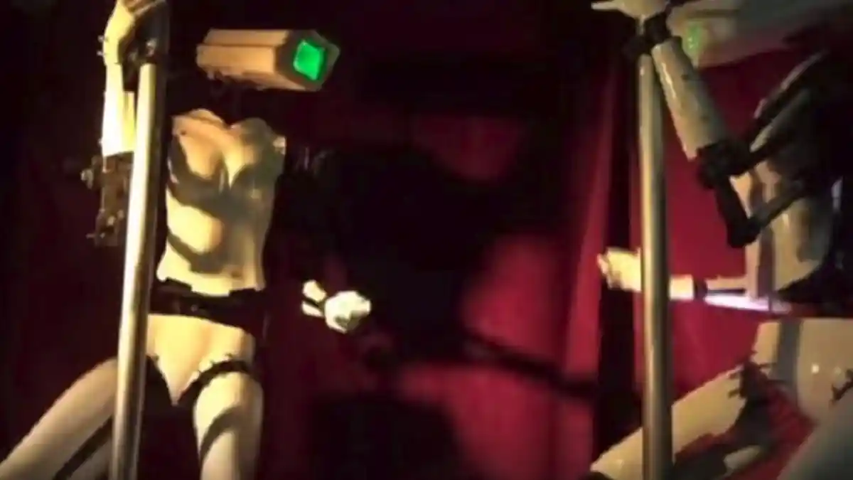 Mata Lelaki Terbelalak! Telah Dikembangkan Robot yang Bisa Menari Striptis, Harga Sewanya Cuma . . .