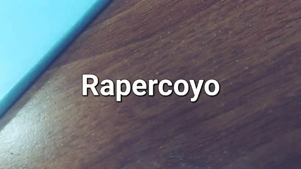 Lirik Lagu Rapercoyo - LAVORA, Sakjane Aku Ngerti Kowe Main Neng Mburi