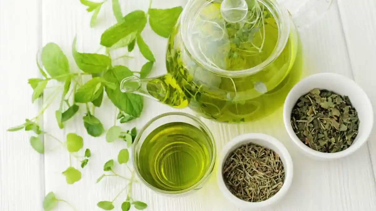 Herbal Penurun Gula Darah dan Kolesterol yang Bisa Anda Coba di Rumah