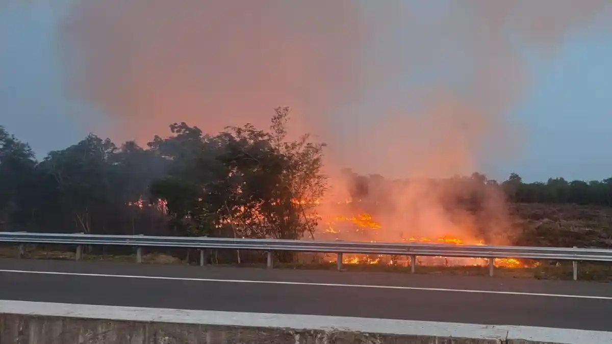 Kebakaran Lahan Dekat Tol Indralaya-Prabumulih, Satgas Karhutla Bergerak Cepat