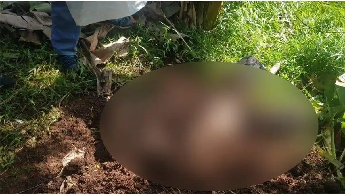 Niat Berburu Burung, Irfan Malah Temukan Mayat di Taman Kota