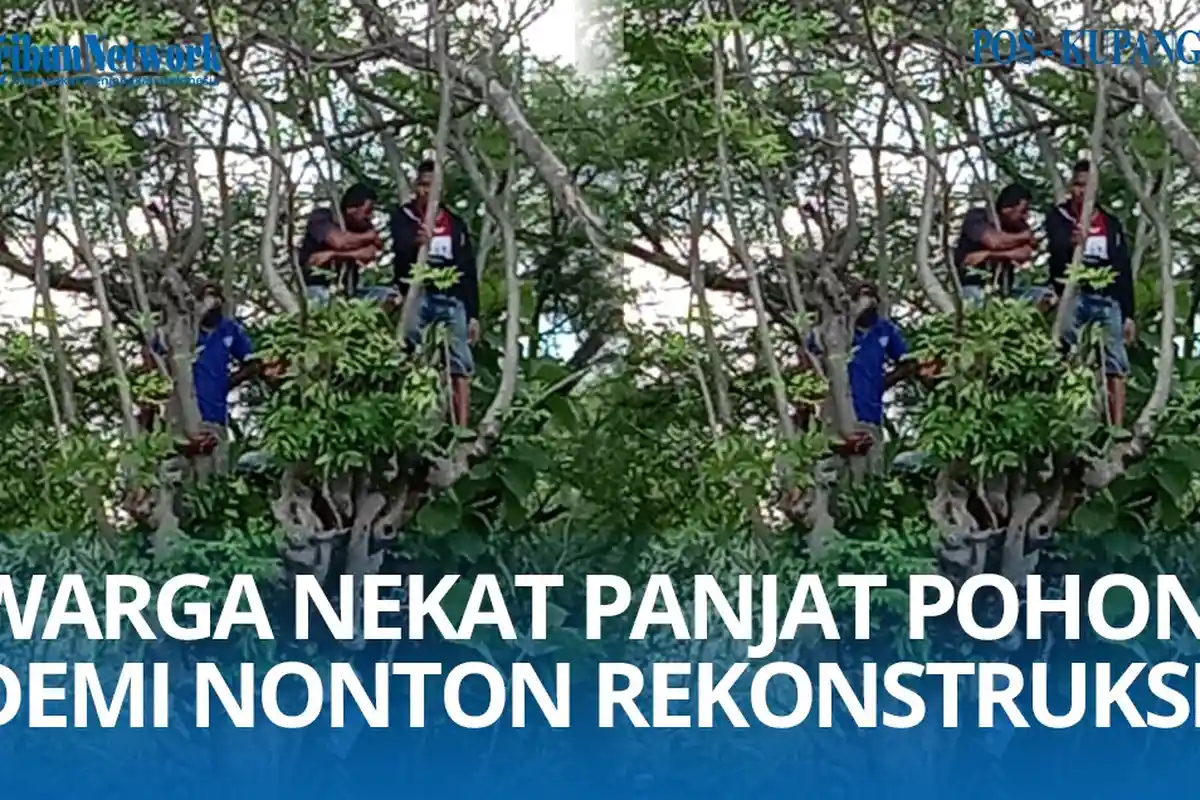 Warga Nekat Panjat Pohon Demi Nonton Rekonstruksi Pembunuhan Ibu dan Anak di Penkase