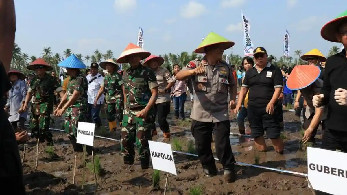 FOTO: Tanam Padi Millenial di Kubu Raya - kapolda-ikut-tanam-padi.jpg