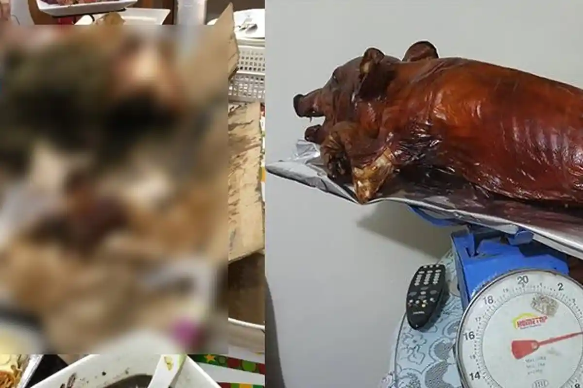 Pesan Babi Panggang, Keluarga Ini Kaget Bukan Main Saat Makanannya Dibelah