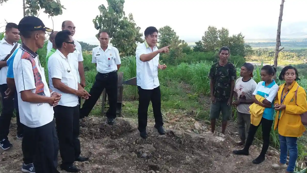 Poktan Hidup Baru Raihat-Belu Ujicoba Pembuatan Silase