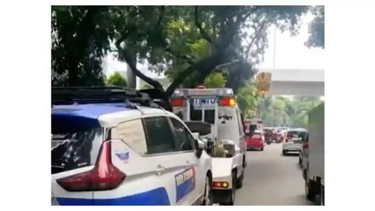 Parkir Sembarangan, Mobil Bea Cukai Kena Derek Petugas Dishub di Jakarta Selatan