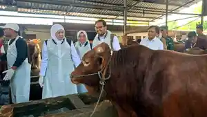 Gubernur-Khofifah-tinjau-hewan-ternak-di-Nganjuk-Jatim-252026.jpg