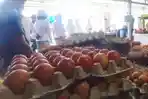 stok-telur-ayam-di-malinau-masih-mencukupi-pada-agen-dan-distributor-fhyj.jpg
