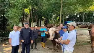 Sapi-dari-Presiden-Prabowo-untuk-warga-Desa-Bojong-Koneng.jpg
