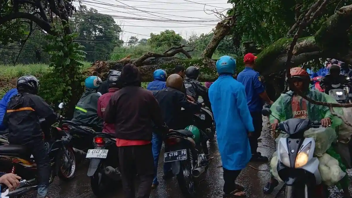 Viral Rancamanyar Dilanda Macet Lagi, Bukan karena Banjir Tapi Pohon Tumbang yang Tutupi Badan Jalan