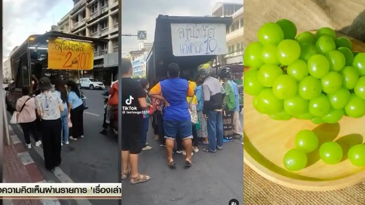 Harga Anggur Shine Muscat di Thailand Hancur Lebur, per Pack Sekarang hanya Rp 4 Ribuan