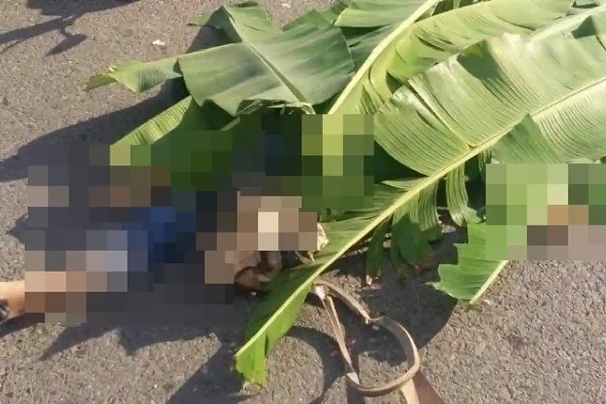 Kecelakaan Maut Pukul 05.00 WIB, Wanita Pedagang Baju Tewas Ditabrak, Korban Hendak Pergi ke Pasar