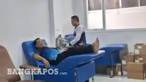 pendonor-darah.jpg