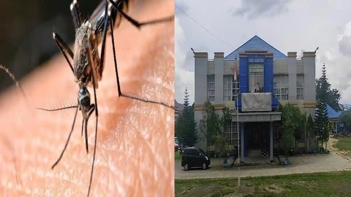 Waspada DBD di Sulawesi Tenggara, Kendari Posisi Teratas 464 Kasus, Kolut, Konut dan Buteng Nihil