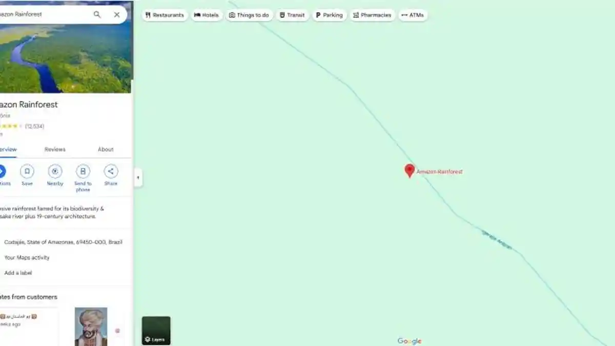 Serbuan Rating 1 Google Maps Hutan Amazon, Netizen Indonesia vs Brasil Usai Kematian Juliana Marins