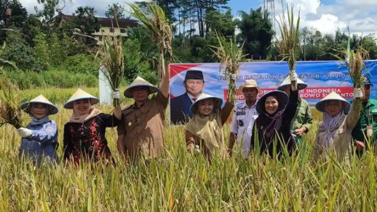 Jadi Salah Satu Lokasi Panen Raya Padi, Pagar Alam Siap Dukung Program Swasembada Pangan Nasional