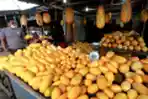 Penjualan Buah Timun Suri Meningkat saat Ramadan