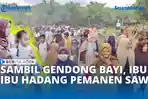 VIDEO - Sambil Gendong Bayi, Ratusan Ibu-ibu Warga Hadang Pemanen Sawit di Aceh Utara