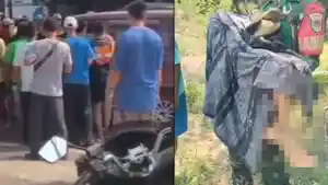 Nasib-pemilik-anjing-pemburu-babi-yang-diduga-gigit-bocah-hingga-tewas.jpg