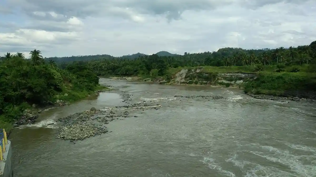 Abrasi Krueng Teupin Mane Mengganas, Puluhan Hektar Kebun Warga Amblas ke Sungai