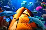 Harga-Tiket-Masuk-Sea-World-Ancol.jpg