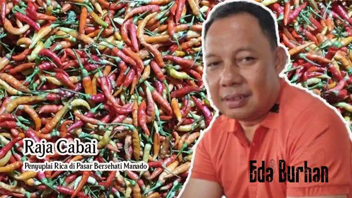 Rica dari Petani Gorontalo Dijual di Manado, Simak Cerita Raja Cabai ...