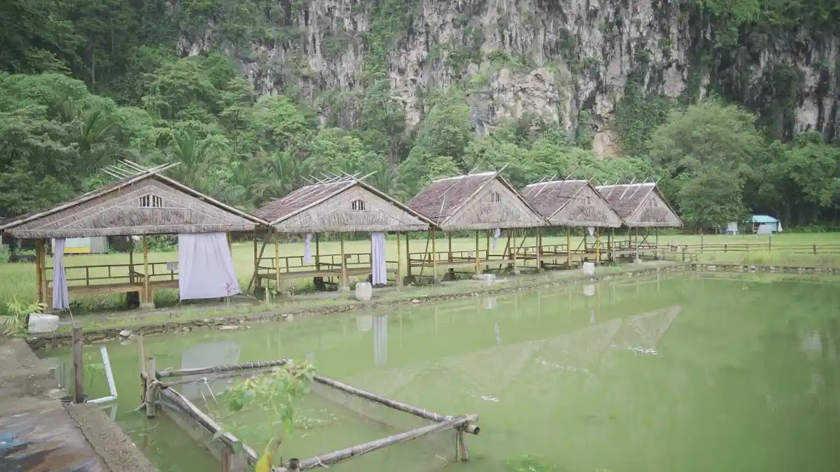 Intip Keindahan Desa Wisata Dolli Bungaeja, Wisata Andalan Warga Tukamasea Maros