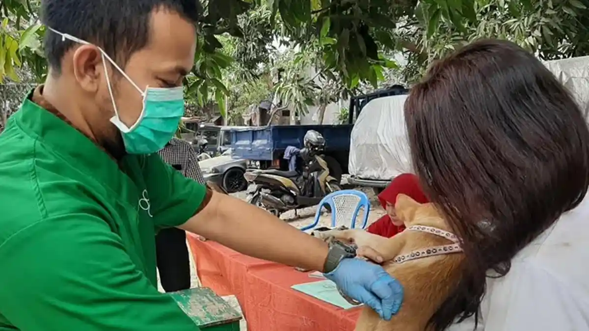 Dalam 3 Hari, 687 Ekor Hewan Sudah Divaksin Rabies di Jakarta Timur