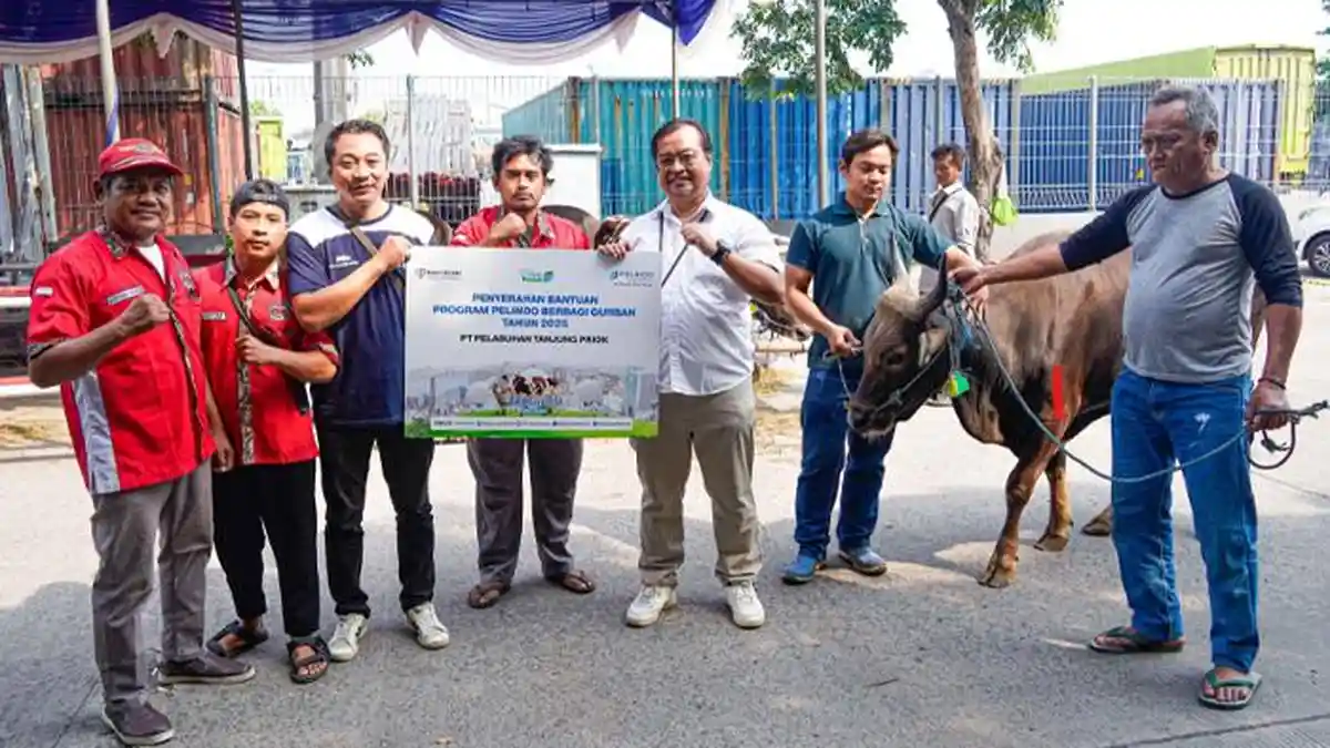 Idul Adha 2025, PTP Nonpetikemas Salurkan 25 Sapi Kurban di Seluruh ...