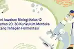 Kunci-Jawaban-Biologi-Kelas-12-Halaman-20-30-Kurikulum-Merdeka-tentang-Tahapan-Fermentasi.jpg